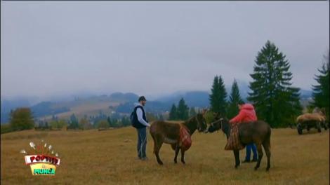 Liviu Vârciu îi spune unui măgar cum trebuie să se comporte cu o femeie