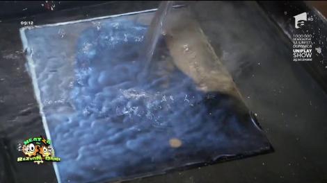 Cum s-au realizat primele fotografii din lume