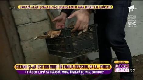 Viorica, Ioniță și Margherita de la Clejani au găsit patru copii mici într-o mizerie cruntă