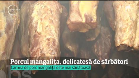 Carnea de porc mangalița este cea mai sănătoasă