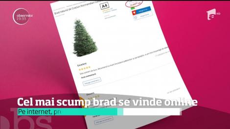 Cel mai scump brad se vinde online