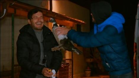 Răzbunarea gâștelor. ”A făcut pe mâna ta!”