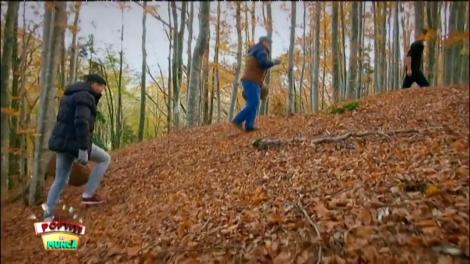 La cules de ciuperci. ”Sigur n-am greșit pădurea!”