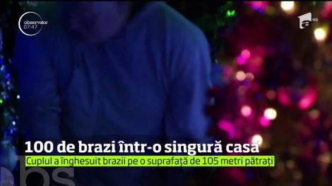 Îndrăgostiţi de Crăciun! Doi tineri din Germania au împodobit peste 100 de brazi înghesuiţi în 105 metri pătraţi