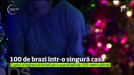 Îndrăgostiţi iremediabil de Crăciun! Doi tineri au împodobit peste 100 de brazi, într-o singură casă. Au avut nevoie 16.000 de globuri