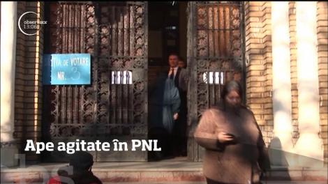 Alina Gorghiu își dă demisia din PNL