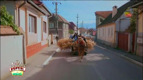 Prima probă, câștigată de fete. Pierzătorii au ajuns în căruță!