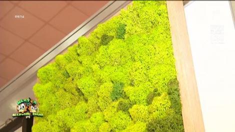 Târgul Cadourilor de Crăciun - Romexpo