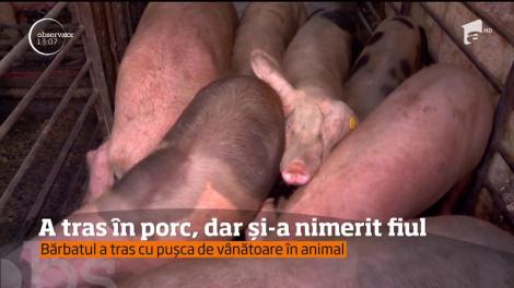 Aproape de o dramă. Un român a tras în porc, dar și-a nimerit fiul
