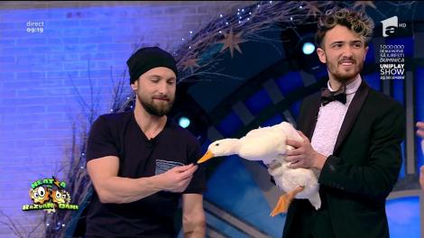 Magicianul Verdini i-a găsit perechea lui Dani Oţil