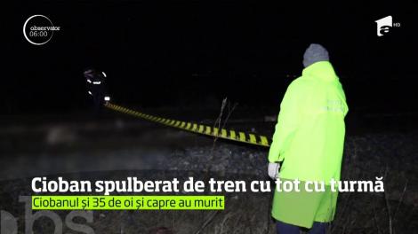 Un cioban a murit odată cu oile pe care le avea în grijă, în judeţul Buzău. Omul şi animalele au fost spulberaţi de un tren