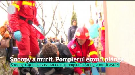 Snoopy, căţelul resuscitat de pompierul-erou Mugurel Costache, a murit