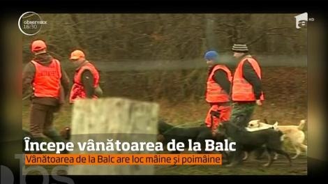 Începe vânătoarea anuală din Balc!