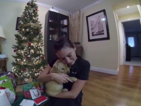 Clipul care face înconjurul lumii. Un pui de labrador, un brad şi o femeie = cea mai frumoasă surpriză de Crăciun
