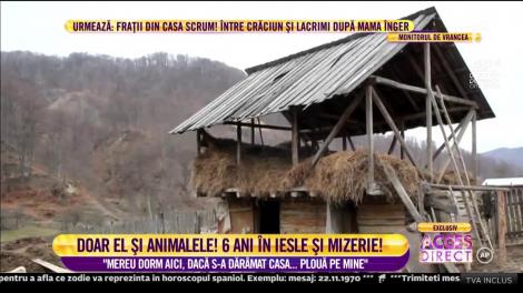 Un bătrân de 70 de ani din Vrancea doarme în grajd cu animalele!