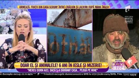Nea Chivu, bătrânul care doarme în grajd cu animalele: "Noaptea când dorm mă încălzeşte doar răsuflarea vacilor!"