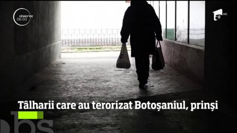 Tâlharii care au instaurat teroarea în Botoşani, după ce au bătut şi jefuit cinci femei, au fost prinşi de poliţişti
