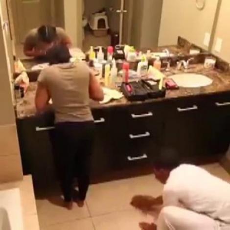 „Oglindă, oglinjoară, cine e cea mai speriată fată din țară?” S-a cocoțat pe birou, doar să nu facă cunoștintă cu Spartacus, „insecta ucigașă”!