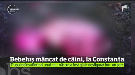 Cadavrul unui nou-născut a fost găsit într-un parc din Constanţa
