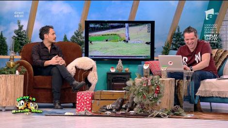 Smiley News: HA, HA, HA! Nu ai văzut în viaţa ta ceva mai tare. "Mannequin Challenge" cu patrupezi