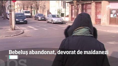 Șocant! Bebeluş mâncat de viu de câinii maidanezi!