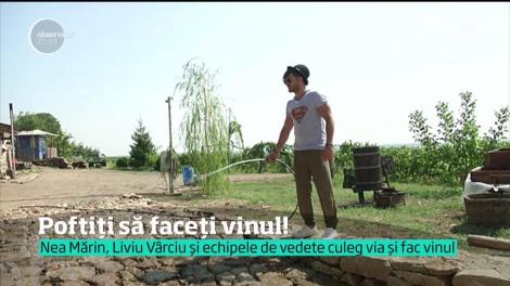 Dacă e luni, poftiţi la distracţie şi la muncă. Vedete lui Nea Mărin culeg via şi fac vinul