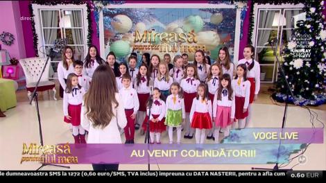 Grupul Bravissimo - ”Omul de zăpadă”