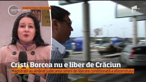 Magiastrații au amânat judecarea cererii de eliberare a lui Cristi Borcea de  Crăciun