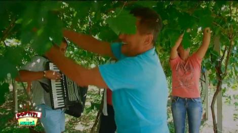 "Culeg mamă ca nebunul, lucrez la Antena 1". Mitoșeru, exasperat: "Cum se dă lăutarul astă mai încet? N-are pauză?"