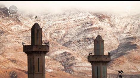 Spectacolul naturii e impresionant! Prima ninsoare din ultimii 37 de ani din Sahara a adus un peisaj care îţi taie respiraţia!