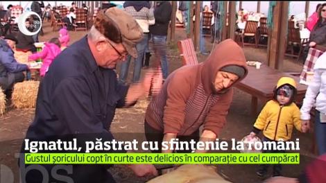 Ignatul, păstrat cu sfințenie la români. Tradiţii şi superstiţii