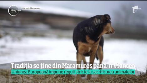 Obiceiuri, tradiții și superstiții de Ignat