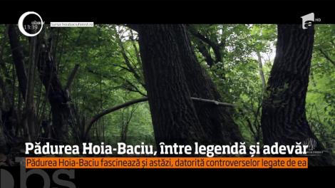 Primul documentar despre Pădurea Hoia-Baciu a fost realizat în Cluj-Napoca