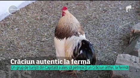 Crăciun autentic la fermă