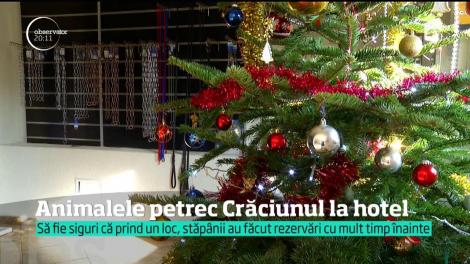 Aglomeraţia de pe Valea Prahovei e direct proporţională cu cea din hotelurile pentru animale