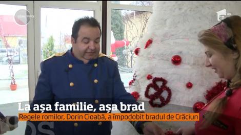Brad regal în casa lui Dorin Cioabă