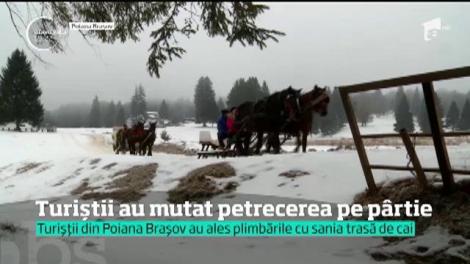Turiștii din Poiana Brașov au ales plimbările cu sania trasă de cai