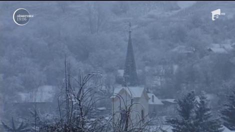 Două zile, un bistriţean a stat pierdut în pădure, pradă sălbăticiunilor