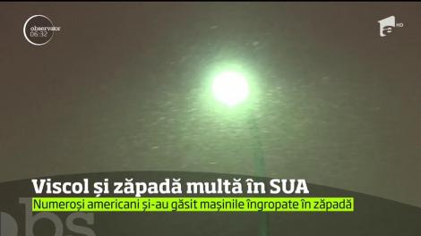 Viscol și zăpadă multă în Statele Unite