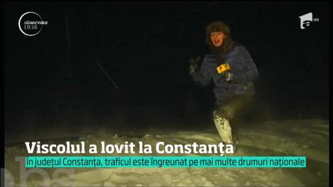 Furia iernii a lovit sud-estul ţării. La Constanţa ninge neîncetat, iar viscolul face aproape imposibil traficul