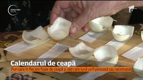 Bătrânii din Mureş ştiu înaintea tuturor cum va fi vremea în anul ce vine, cu ajutorul foilor de ceapă