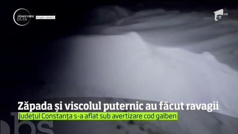 Viscolul a făcut ravagii în judeţul Constanţa