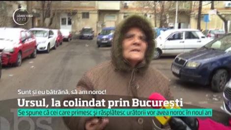 Ursul, la colindă prin Bucureşti