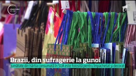 Brazii de Crăciun au ajuns deja în containere