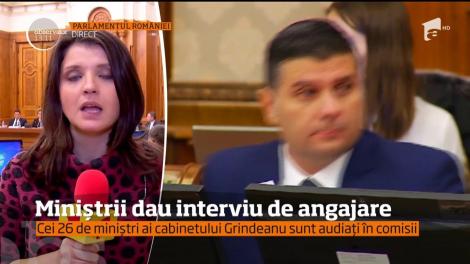 Cei 26 de miniștri ai cabinetului Grindeanu sunt audiați în comisii