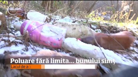 Tone de deşeuri menajere au fost aduse în lacul Cinciş