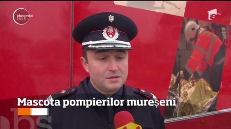 Un câine salvat de pompieri este sufletul unității acum