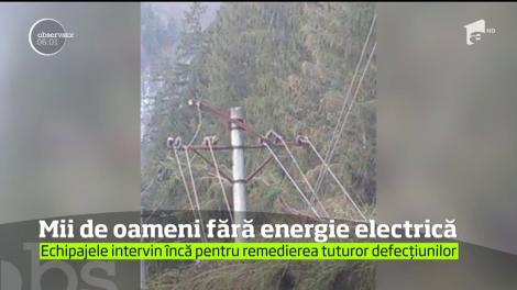 Vântul puternic a făcut ravagii în Suceava! 16 localități au rămas fără energie electrică