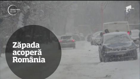 Observator TV 06/01/2017 - Ştirile zilei &icirc;ntr-un minut