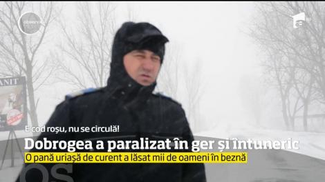 Dobrogea este paralizată de viscol. Reactorul 1 al centralei nucleare de la Cernavodă nu mai furnizează!